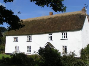 MINOLTA DIGITAL CAMERA