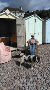 Beach Hut at Budleigh